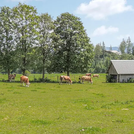 Mit Badeteich Apartmán Ramsau am Dachstein