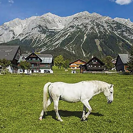 Mit Badeteich Apartment *