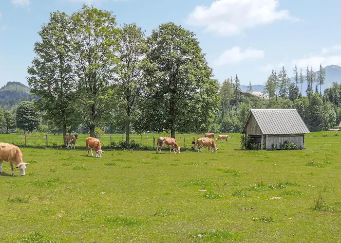 Mit Badeteich Apartmán Ramsau am Dachstein